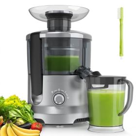 Centrifugal Juicer, 500-watt Juicer, Equipped With A 2-inch Feed Opening And Trays For Vegetables And Fruits, Featuring 3-speed Rapid Juicing Fun (Option: silver)